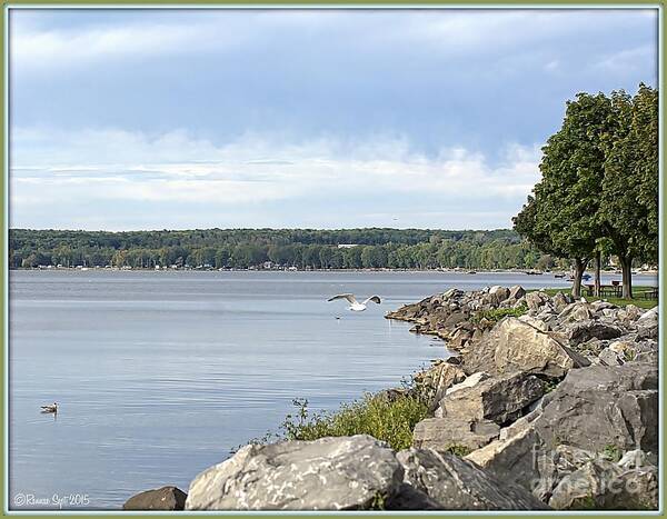 Lake Art Print featuring the photograph Waters Edge by Rennae Christman