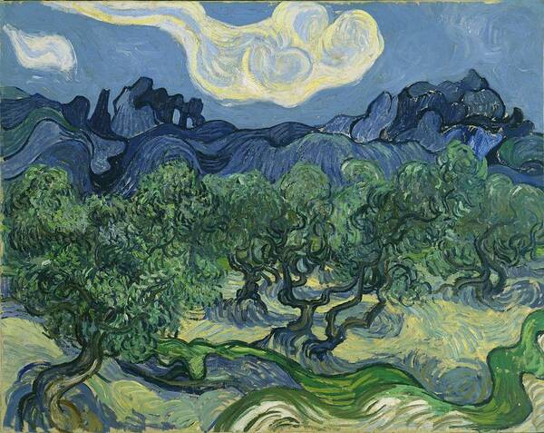 Vincent Van Gogh Art Print featuring the painting The Olive Trees #5 by Vincent Van Gogh