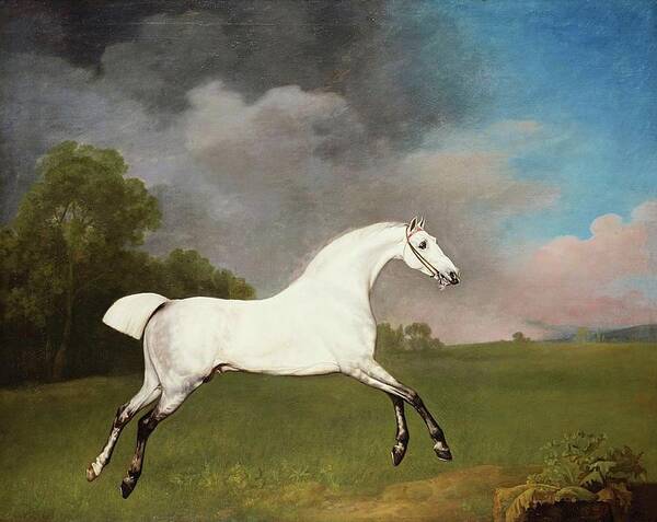 George Stubbs (1724-1806) A Grey Horse Signed And Dated 1793 Art Print featuring the painting A Grey Horse by George Stubbs