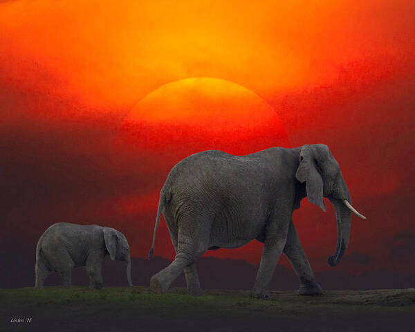 African Sunset Art Print featuring the photograph African Sunset 2 by Larry Linton
