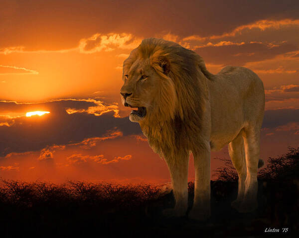 African Sunset Art Print featuring the photograph African Sunset by Larry Linton