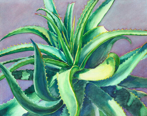 Aloe Vera Art Print featuring the painting Aloe Vera Watercolor by Linda Ruiz-Lozito