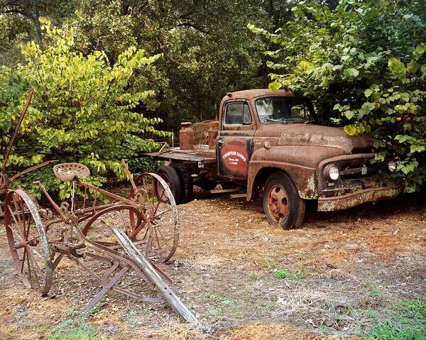 Truck Art Print featuring the photograph At Rest by Marty Koch