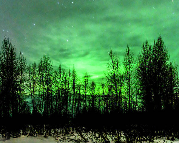 Aurora Borealis Art Print featuring the photograph Aurora in the Clouds by Bryan Carter