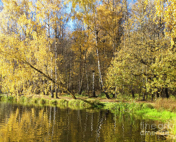 Autumn Art Print featuring the photograph Autumn by Irina Afonskaya