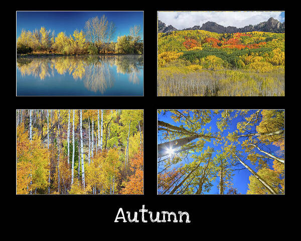 Colorado Art Print featuring the photograph Autumn by James BO Insogna