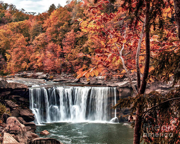 Kentucky Art Print featuring the photograph Autumn on the Cumberland Autumn at the Falls by Ken Frischkorn