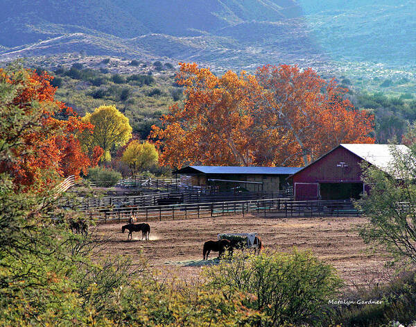 Ranch Art Print featuring the photograph Autumn Ranch by Matalyn Gardner