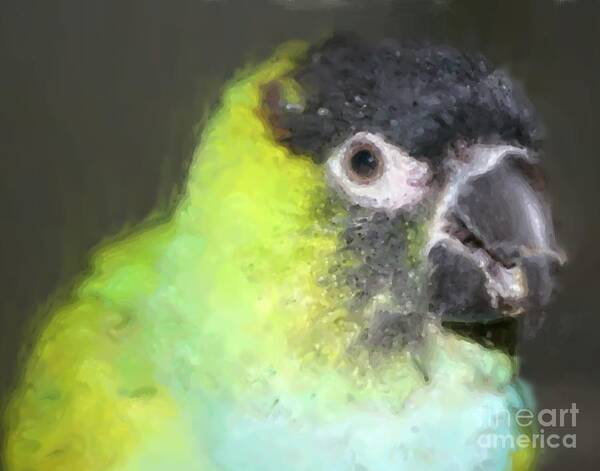 Animal Art Print featuring the painting Baby Nanday Conure by Smilin Eyes Treasures