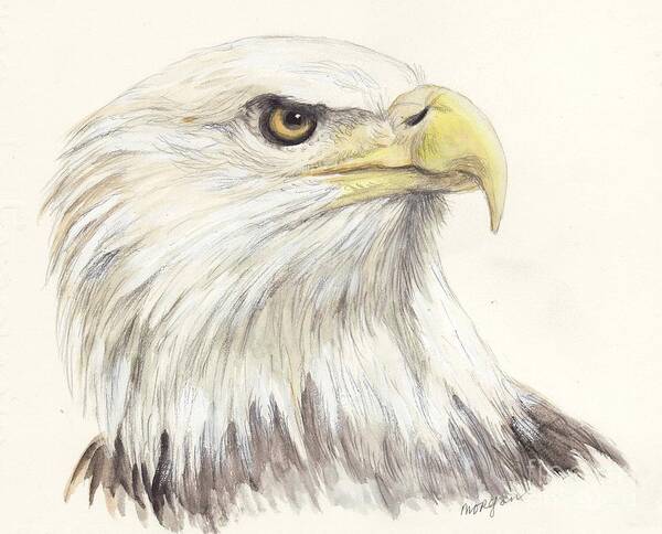 Bald Art Print featuring the painting Bald Eagle by Morgan Fitzsimons