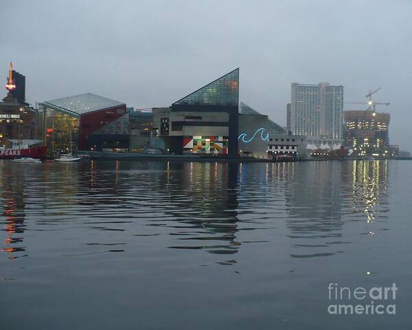 Baltimore Art Print featuring the photograph Baltimore Harbor Reflection by Carol Groenen