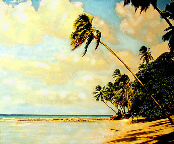 Caribbean Art Print featuring the photograph Barbados West Coast by Ian MacDonald
