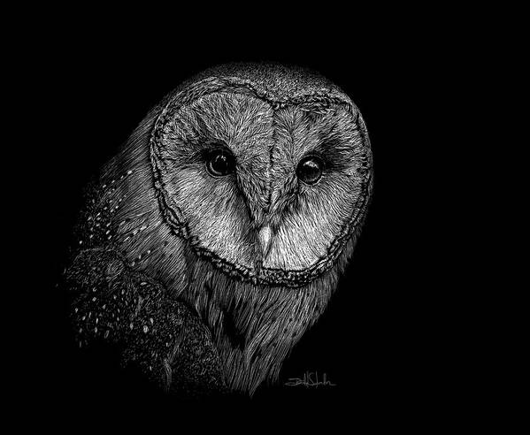 Barn Owl Art Print featuring the drawing Barn Owl II by Isabel Salvador