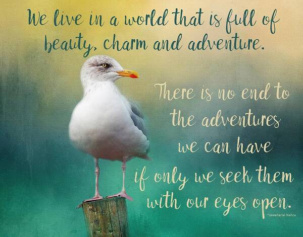 Seagull Art Print featuring the photograph Beauty, Charm and Adventure by Teresa Wilson