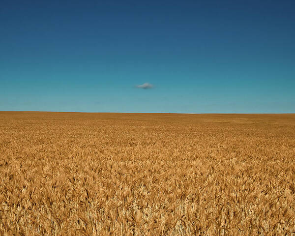 Big Sky Art Print featuring the photograph Big Sky Montana by Harry Strharsky