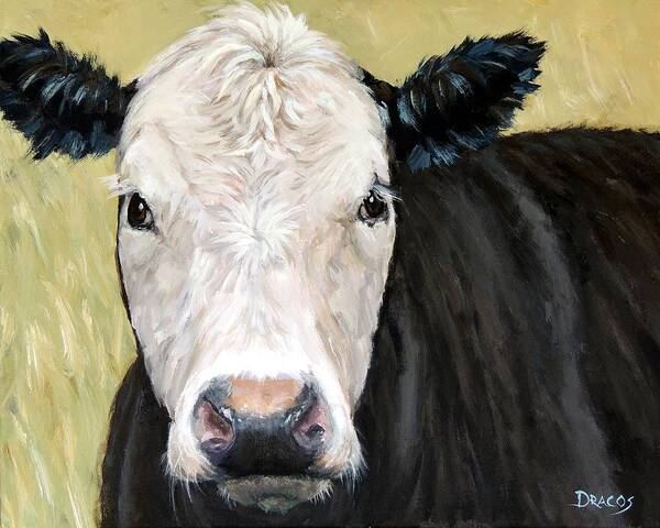 Cow Art Art Print featuring the painting Black Angus Cow Steer White Face by Dottie Dracos