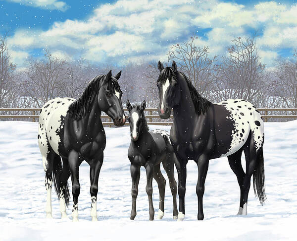 Beautiful Black Horse Running Wall Poster Paper Print - Art