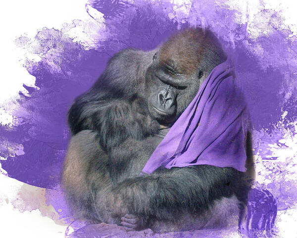 Animals Art Print featuring the photograph Blankie by Nikolyn McDonald