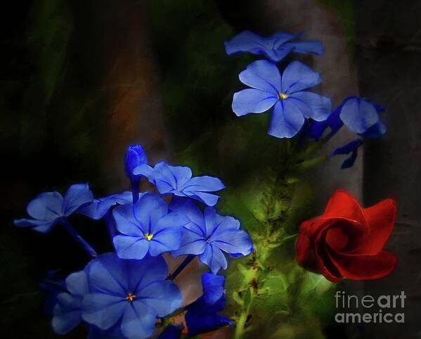 John+kolenberg Art Print featuring the photograph Blue Flowers Growing Up The Apple Tree by John Kolenberg