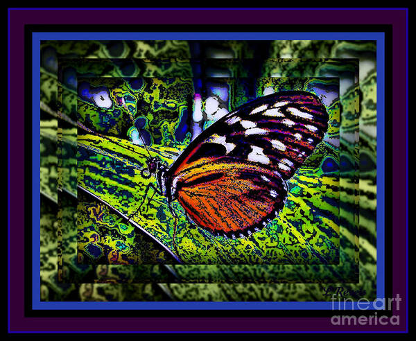 Butterfly Art Print featuring the photograph Butterfly Dreams by Leslie Revels