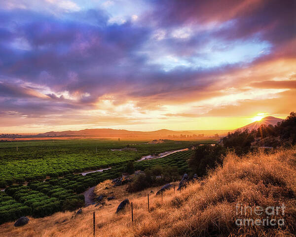 California Art Print featuring the photograph Central Valley by Anthony Michael Bonafede