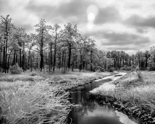 Marsh Art Print featuring the photograph Cold Creek by Hayden Hammond