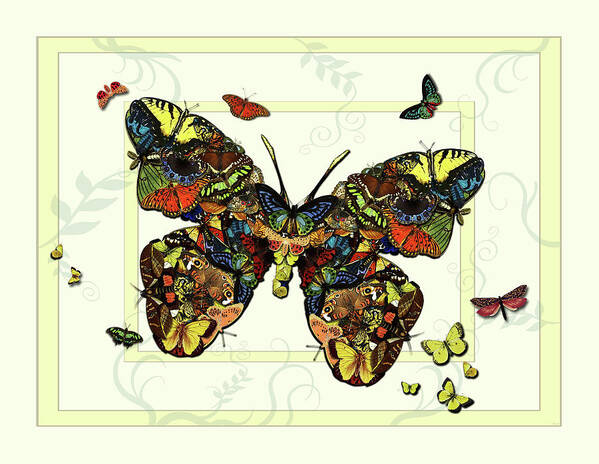 Botanical Art Print featuring the painting Colorful Butterfly Collage by Deborah Smith