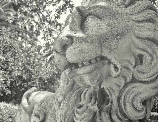 Alcazars Art Print featuring the photograph Cowardly Lion by JAMART Photography