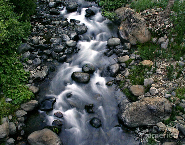 Creek Art Print featuring the photograph Creek Flow by Peter Piatt