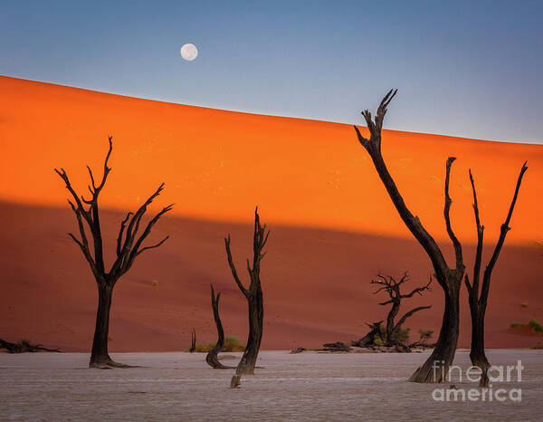 Africa Art Print featuring the photograph Deadvlei Full Moon by Inge Johnsson