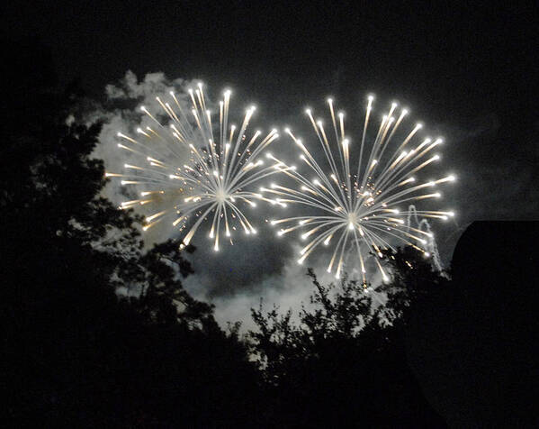 Fireworks Art Print featuring the photograph Diamonds in the Sky by Jody Lovejoy