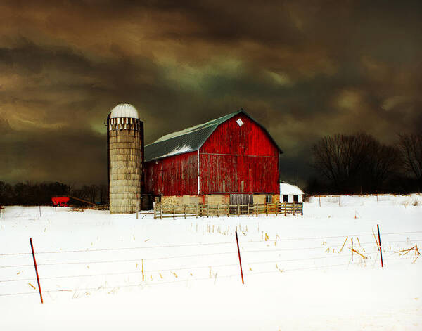 Barn Art Print featuring the photograph Diamonds In the Sky by Julie Hamilton