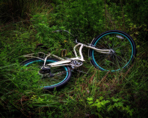 Bicycle Art Print featuring the photograph Discarded by Alan Raasch