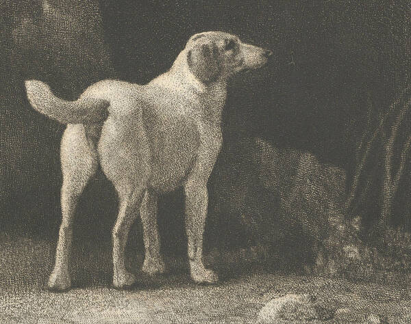 British Painters Art Print featuring the relief Dog by George Stubbs