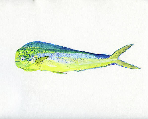 Fish Art Print featuring the painting Dolphin Fish by Anne Marie Brown