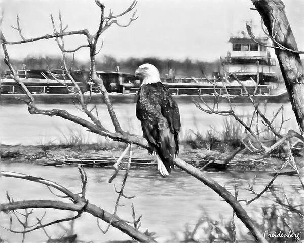 Eagles Art Print featuring the photograph Eagle on the Illinois River by John Freidenberg