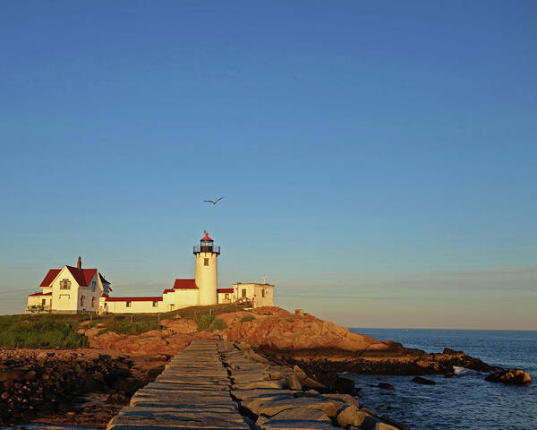 Eastern Art Print featuring the photograph Eastern Point Lighthouse Gloucester MA at Sunset by Toby McGuire
