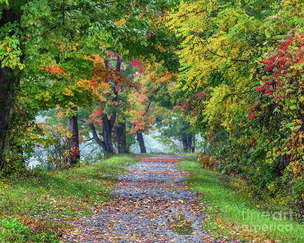 Erie Canal Art Print featuring the photograph Erie Canal in Fall by Phil Spitze