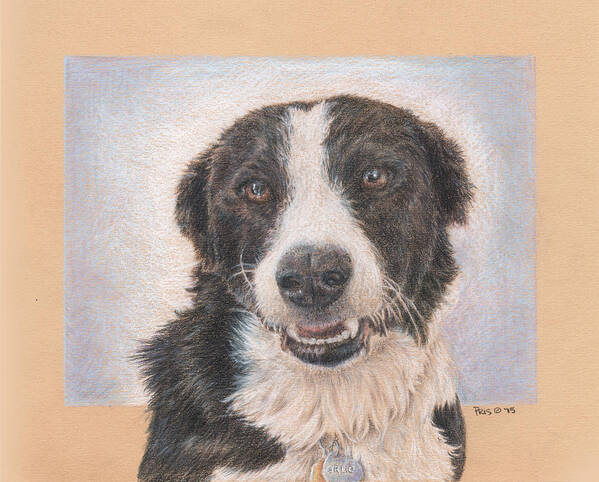 Dog Art Print featuring the drawing Eternal Smile by Pris Hardy