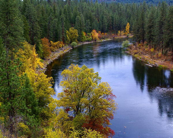 Nature Art Print featuring the photograph Fall Colors on the River by Ben Upham III