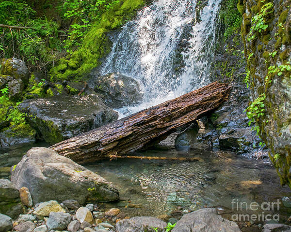 Waterfalls Art Print featuring the photograph Falls Creek 0742 by Chuck Flewelling