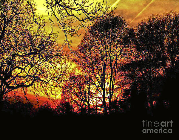 Sunset Art Print featuring the photograph Fiery Red Sunset by Carol F Austin