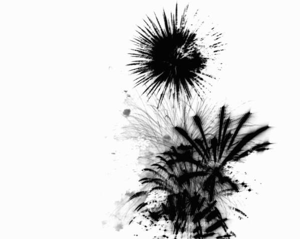 Line Art Print featuring the drawing Firework Abstract 9 by Michelle Calkins