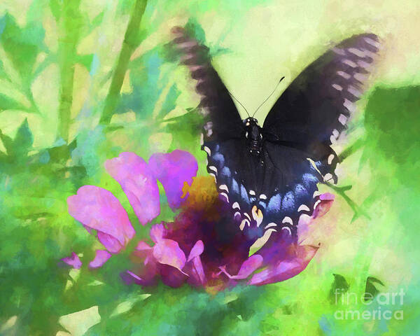 Fluttering Wings Art Print featuring the photograph Fluttering Wings of the Butterfly by Scott Cameron
