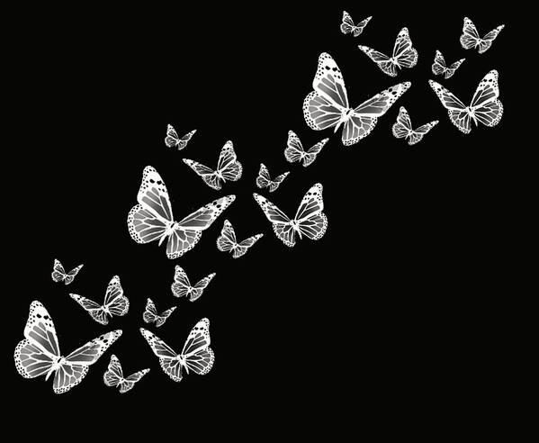 Butterfly Photographs Art Print featuring the photograph Fly Away by Lourry Legarde