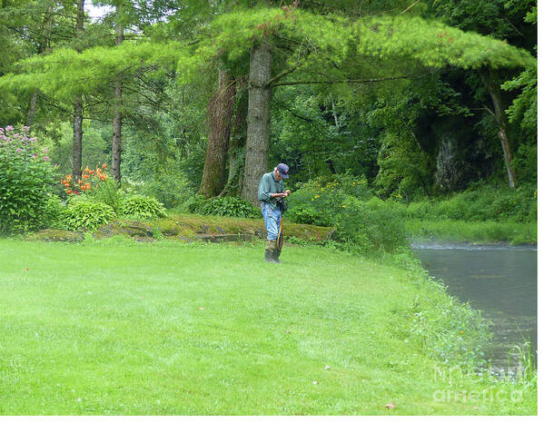 Fly Fishing Art Print featuring the photograph Fly Fishing On Trout Run Creek by Rosanne Licciardi