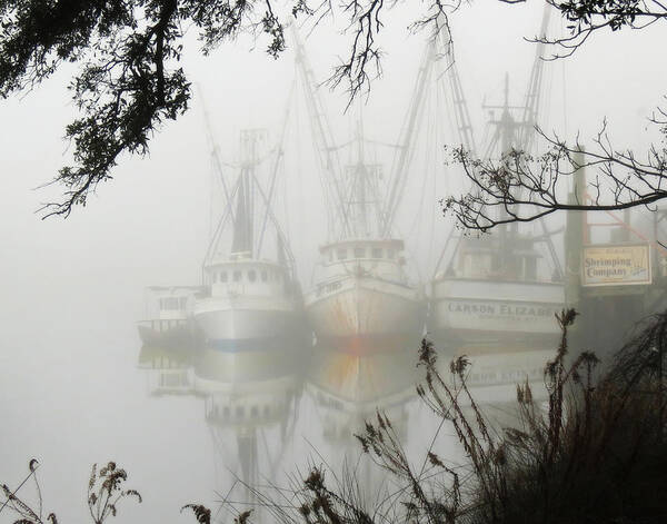 Landscape Art Print featuring the photograph Fogged In by Deborah Smith