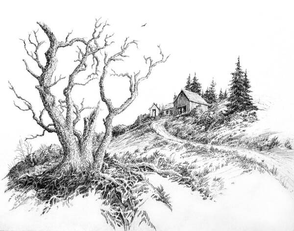 Foothill Art Print featuring the drawing Foothill Lane by Steve Mountz