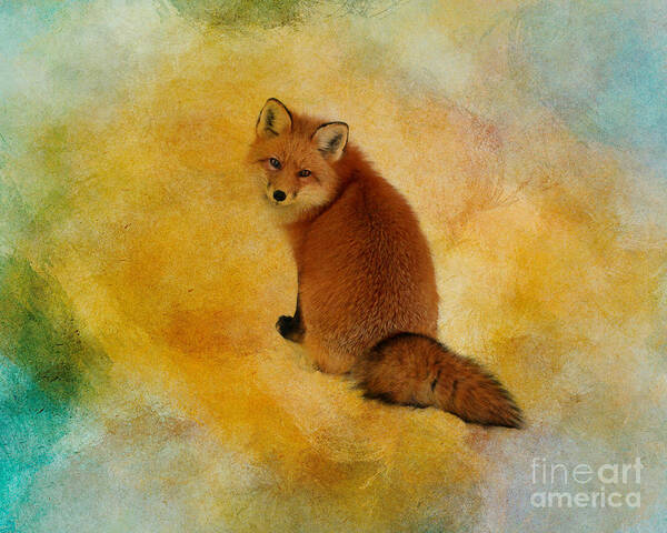 Fox Art Print featuring the photograph Foxy Lady by Heather King