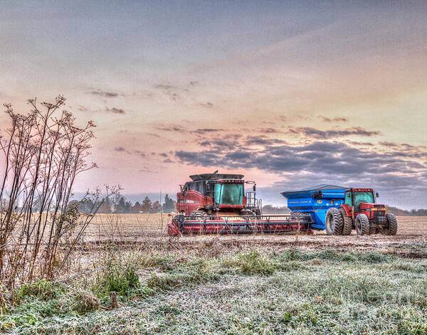 Farms Art Print featuring the photograph Frosty Farm Morning by Rod Best